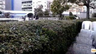 无国产精品视频白浆免费视频